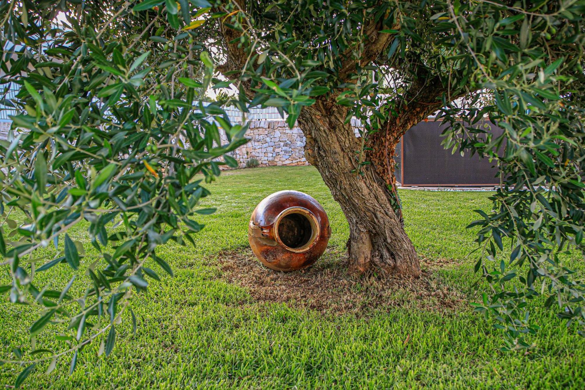 Trulli Donna Isabella 2 Bed & Breakfast โลโกโรตอนโด ภายนอก รูปภาพ